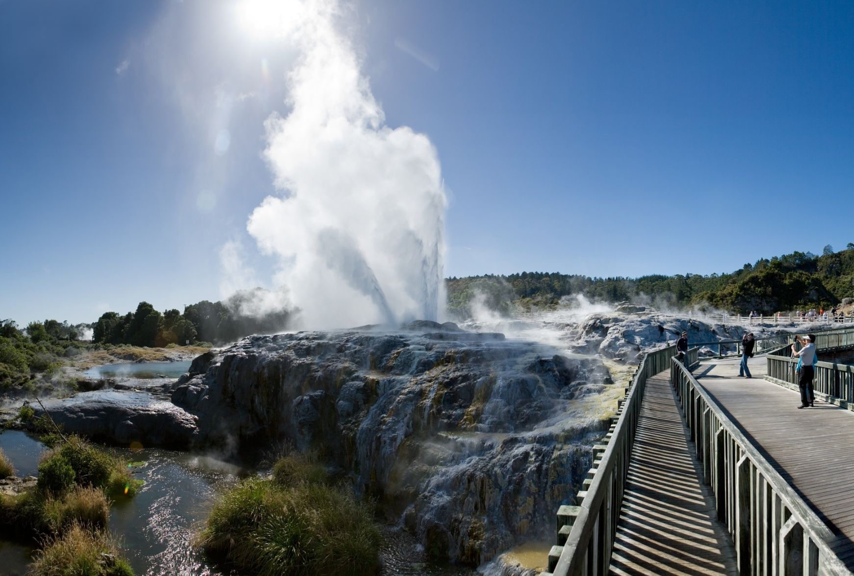 Te Puia: Te Rā Guided Experience in Rotorua - Photo 1 of 7